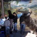 Tollas dinoszaurusz Miskolcon