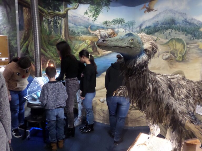 Tollas dinoszaurusz Miskolcon