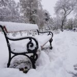 Behavazott pad a parkban