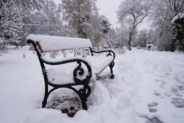 Behavazott pad a parkban