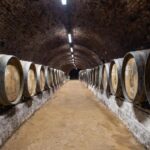 Boroshordókkal teli pince