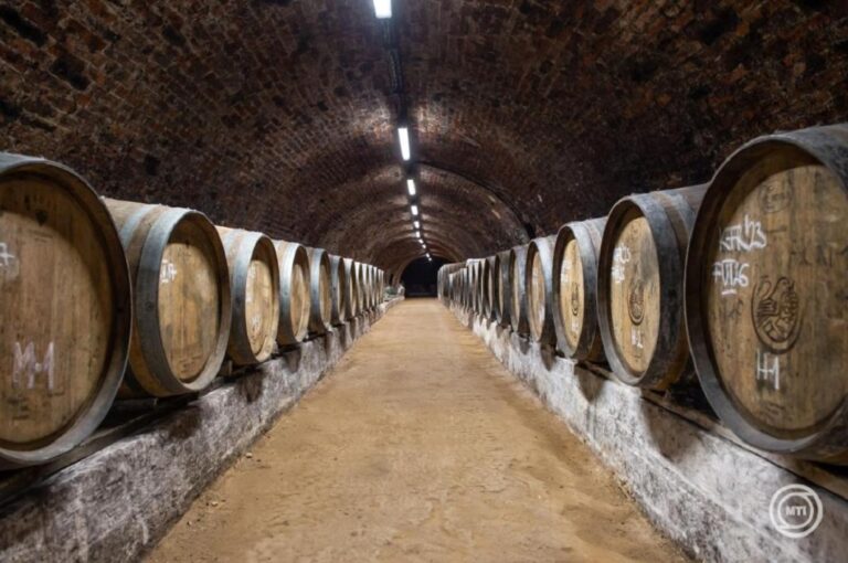 Boroshordókkal teli pince