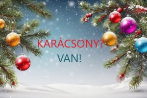 Havas karácsonyi díszek