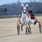 Ló és hajtója az Ügető Szilveszteren