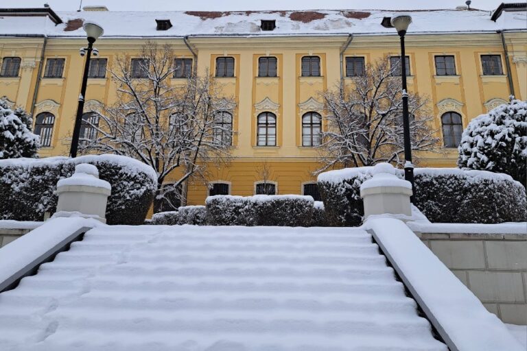 A Püspöki Palota udvara Nagyváradon