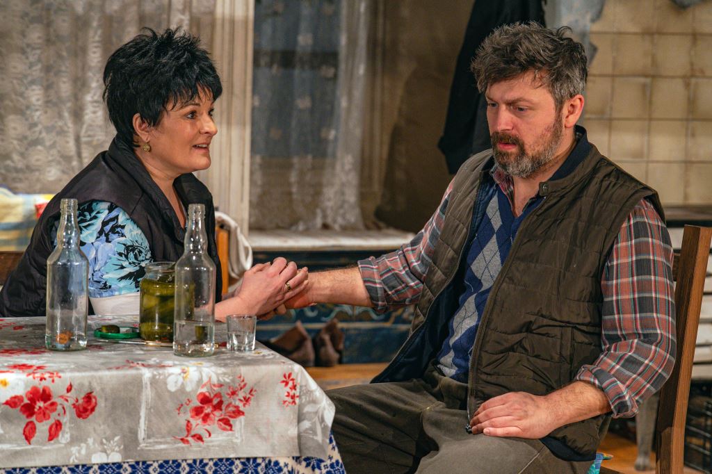 Bányavirág Miskolc