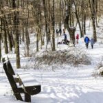 Kirándulók a hóban