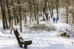 Kirándulók a hóban