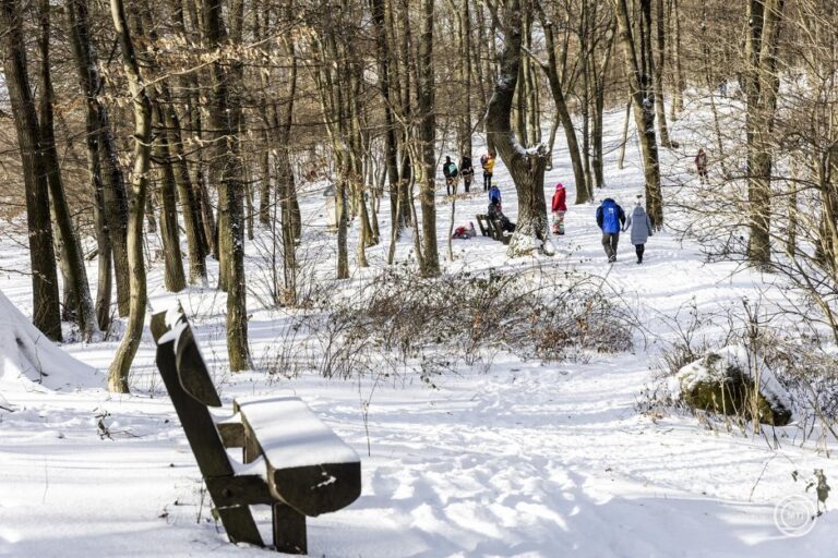 Kirándulók a hóban