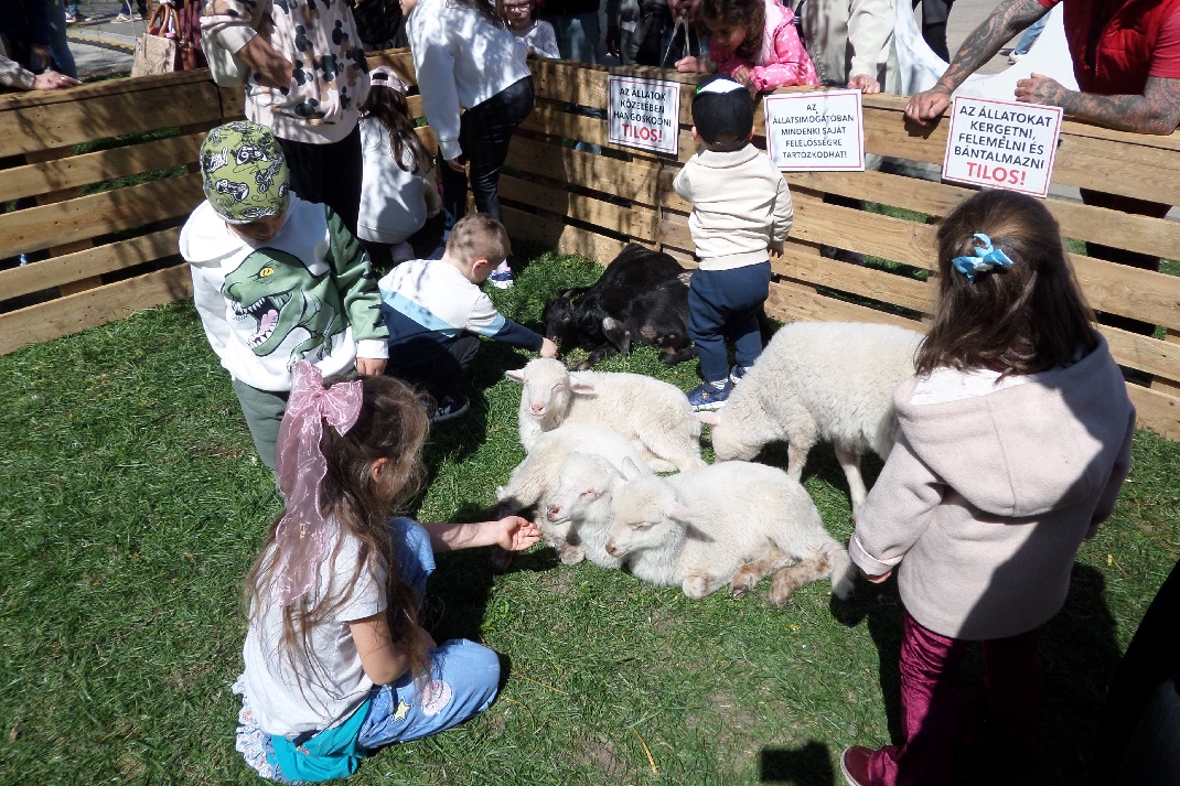 Húsvéti báránysimogató