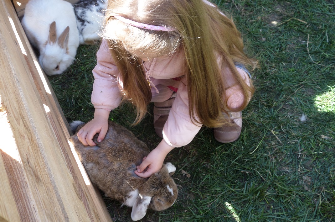 Húsvéti nyuszisimogató