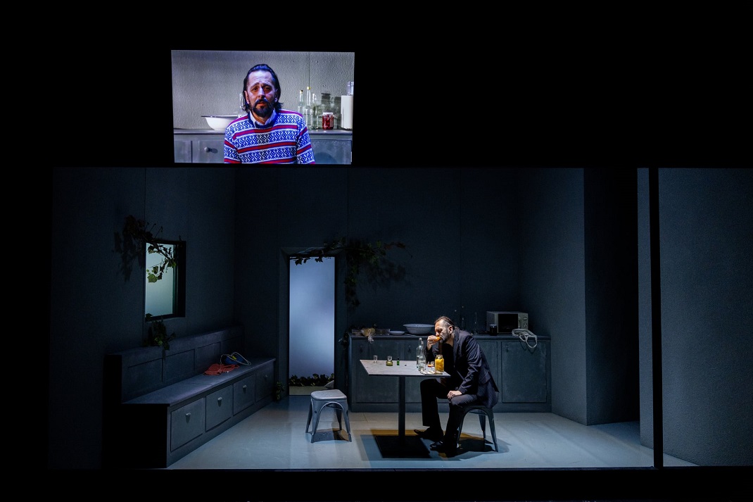 Bányavirág Székesfehérvár