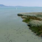 Balaton alacsony vízállás Balatonfenyvesnél