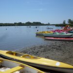 Tisza-tó alacsony vízszint