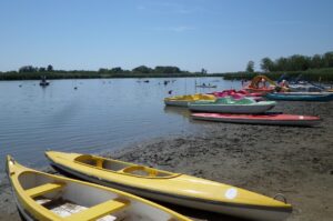 Tisza-tó alacsony vízszint