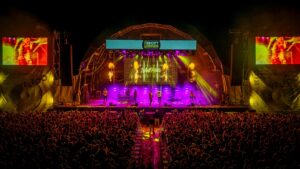 Wellhello koncert EFOTT